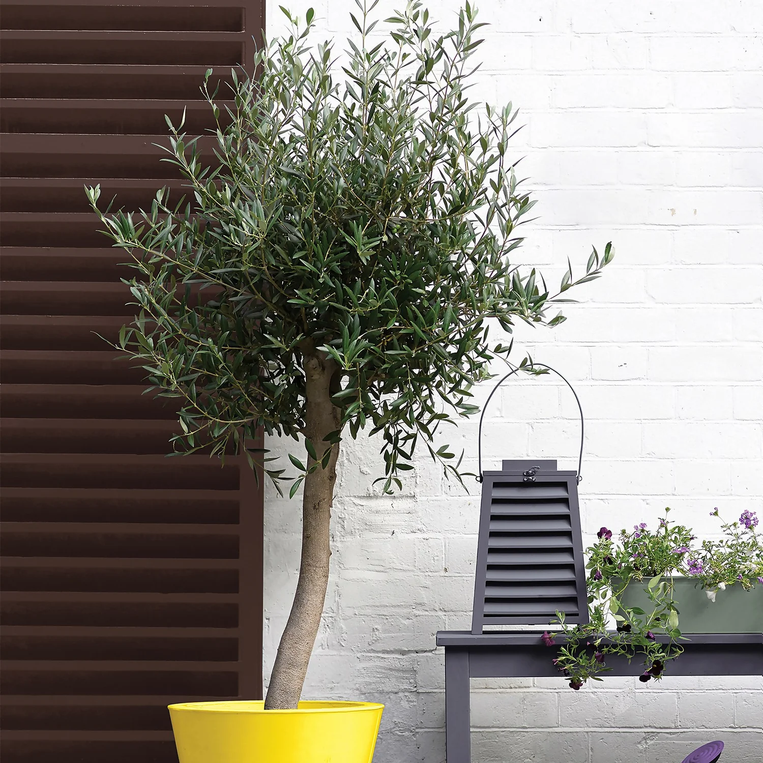 Sandtex® Exterior 10 Year Gloss Paint Chestnut Brown - 2.5L 7 Sandtex® Exterior 10 Year Gloss Paint Chestnut Brown - 2.5L - Image 5