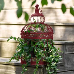 Sandtex® Exterior 10 Year Gloss Paint Classic Burgundy - 2.5L 12 Sandtex® Exterior 10 Year Gloss Paint Classic Burgundy - 2.5L -Sandtex Store 12813523 1874871812984245