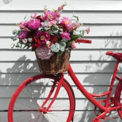 Sandtex® Rapid Dry Satin Paint Clay White - 750ml 14 Sandtex® Rapid Dry Satin Paint Clay White - 750ml -Sandtex Store 12815747 1924951367590050