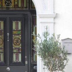 Sandtex Fine Textured Masonry Paint 5L Pure Brilliant White -Sandtex Store 40637 7