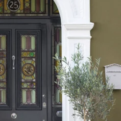 Sandtex Olive Matt Masonry Paint, 5L Tub -Sandtex Store sandtex olive matt masonry paint 5l tub5010131544613 05i bq